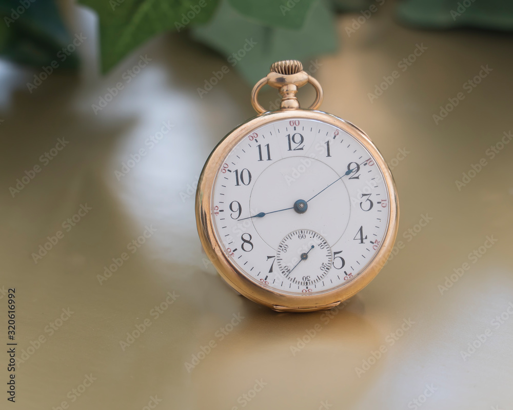 Antique gold pocket watch used to tell time in a natural setting Antique gold pocket watch used to tell time in a natural setting
