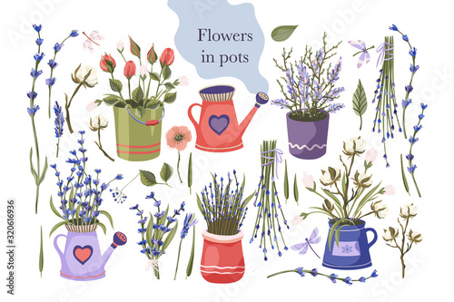 Provence floral vector set. Big flat natural flower plant bouquet collection with lavender, rose and cotton in a pot.