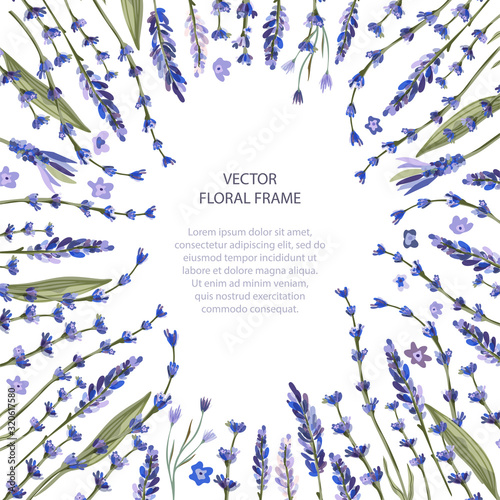 Floral greeting card vector template. Frame with hand drawn leaves and wild field lavender flowers illustrations in a flat style and place for your text.