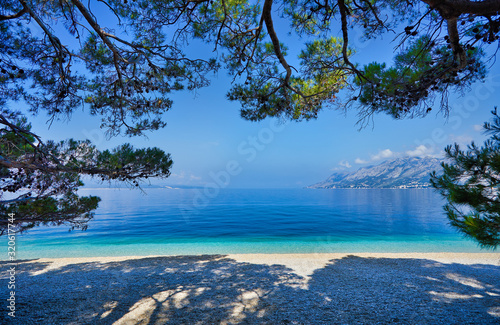 Fototapeta Naklejka Na Ścianę i Meble -  Amazing seascape of Adriatic sea. Colorful summer view of small Brela beach Croatia, Europe. Croatian coast with clear water and pine trees around. Tropical viewpoint for design postcard.