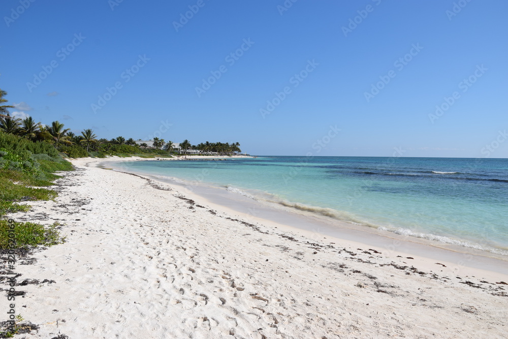 Fototapeta premium Tulum, Mexique