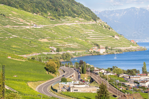 Vineyards in Lavaux region, Switzerland photo