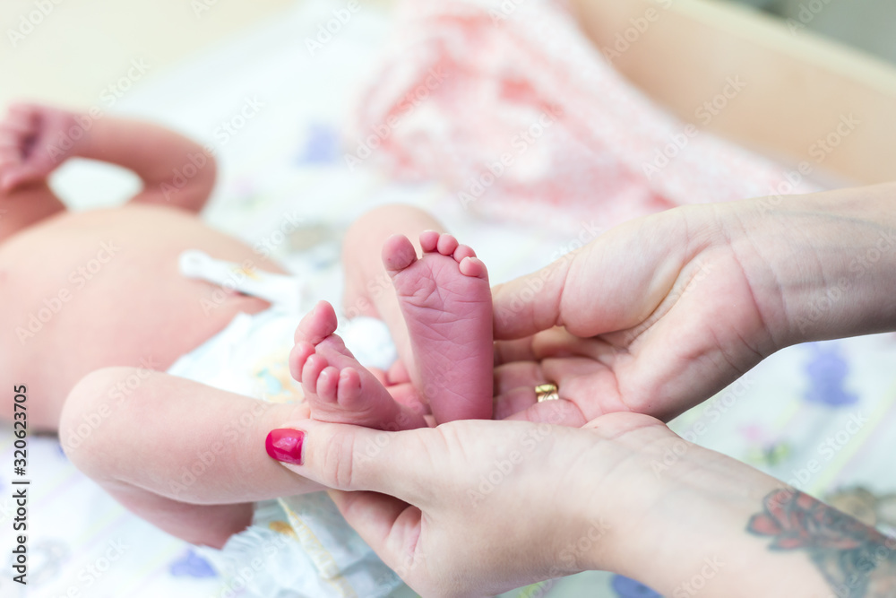Newborn's legs are small in the hands of parents Newborn's legs are small in the hands of parents