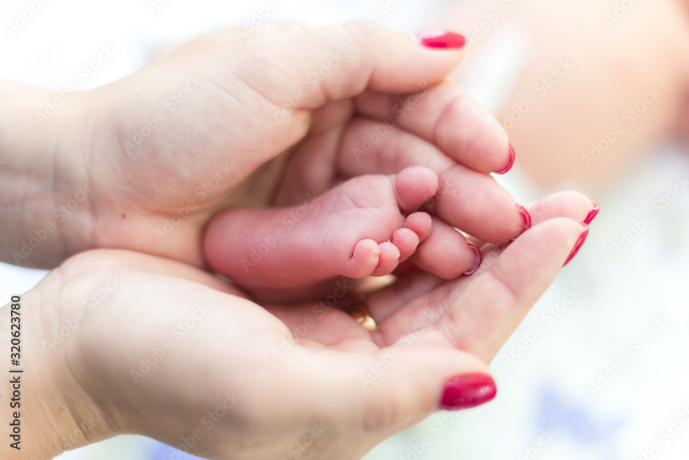 Newborn's legs are small in the hands of parents Newborn's legs are small in the hands of parents