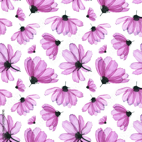 Seamless pattern with watercolor transparent cosmos flower. Hand drawn illustration isolated on white. Floral template is perfect for greeting card  wallpaper  fabric textile  wrapping paper