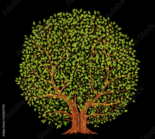 Old tree on black background vector illustration