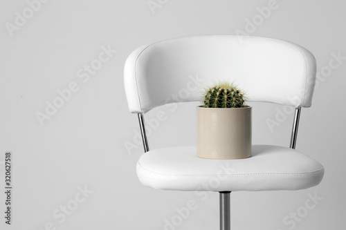 Chair with cactus isolated on white. Hemorrhoids concept photo