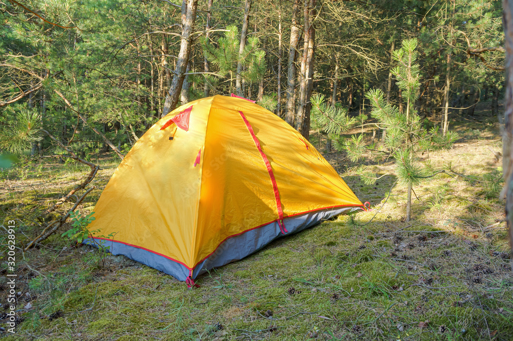 Tent in a pine forest. Yellow tourist tent.