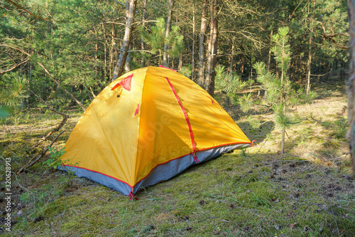 Tent in a pine forest. Yellow tourist tent.