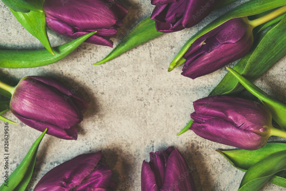 Obraz premium Fioletowe tulipany na szarym tle różowa wstążka