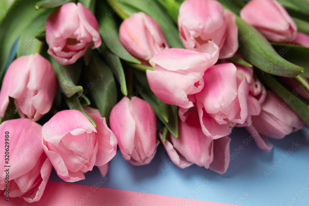 Beautiful pink spring tulips on color background, closeup Beautiful pink spring tulips on color background, closeup