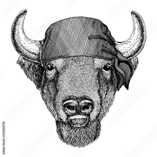 Wild animal wearing pirate bandana. Brave sailor. Hand drawn image for tattoo, emblem, badge, logo, patch