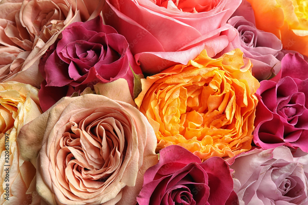 Beautiful fresh roses as background, closeup view. Floral decor Beautiful fresh roses as background, closeup view. Floral decor