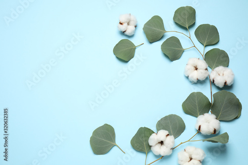 Beautiful floral composition with cotton flowers on light blue background, flat lay. Space for text