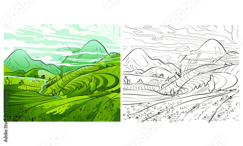 rice field terraces in the mountains landscape, Vector rice or tea plantation on a cascading field on a mountain in China, Vietnam or the Philippines with green trees, forest trees, Illustration of th