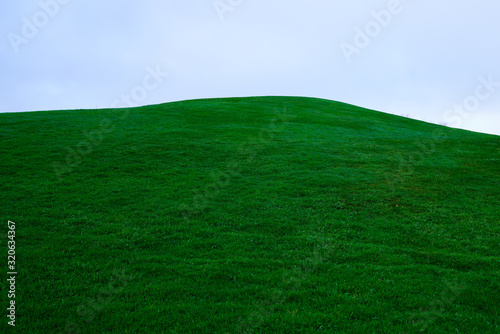 Green grass fresh field lawn isolated on sky background