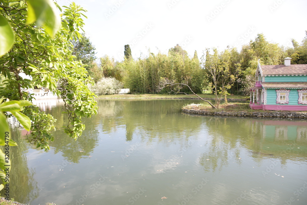 Fototapeta premium park