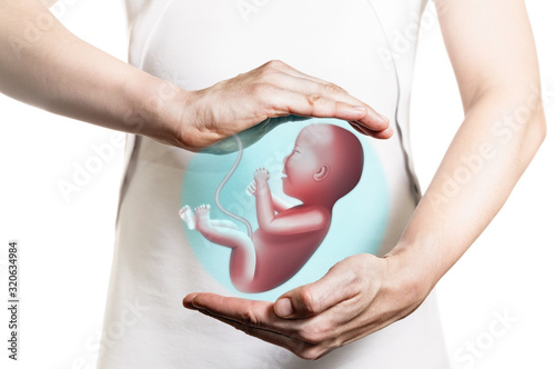 Image of a woman in a white dress and 3d model of the baby between her hands. Concept of  maintaining a pregnancy, In vitro fertilisation, health of the embryo. photo