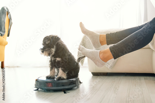 Cute puppy sitting on round black robotic vacuum cleaner while crop woman sitting on sofa in light room with laminate floor photo