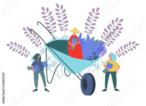 Women picking lavender flowers vector illustration. Harvesting concept. Agritourism concept. Pick-your-own concept. Hand drawn illustration in abstract flat style