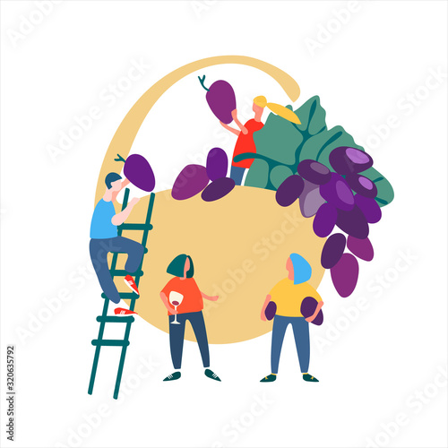 People picking grapes. Harvesting concept. Agritourism concept. Eco-friendly life concept. Illustration in flat style