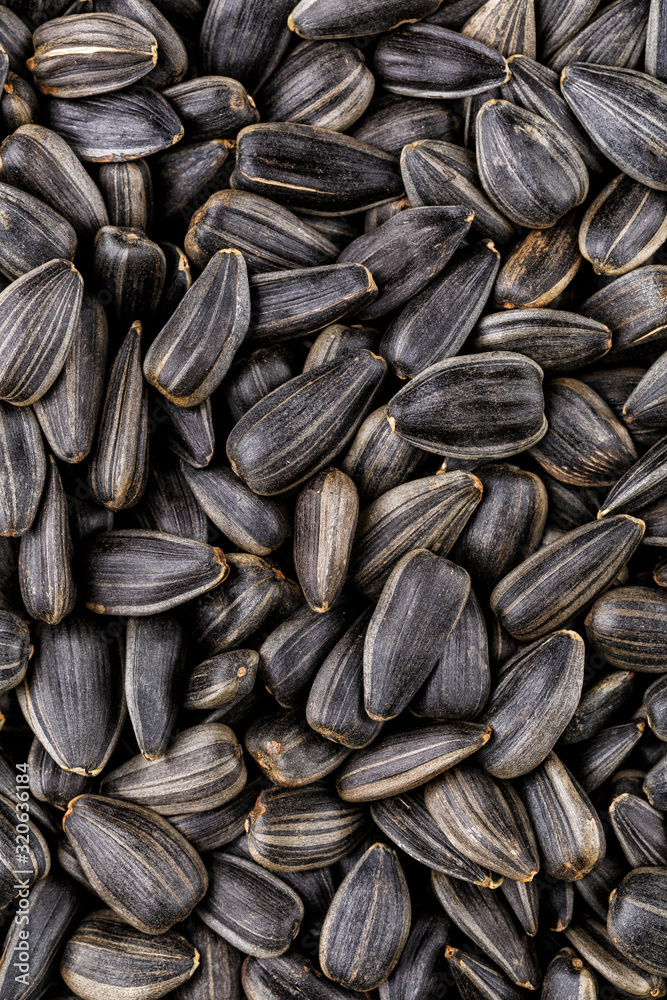 Black sunflower seeds, square organic background. For texture or background. top view Black sunflower seeds, square organic background. For texture or background. top view