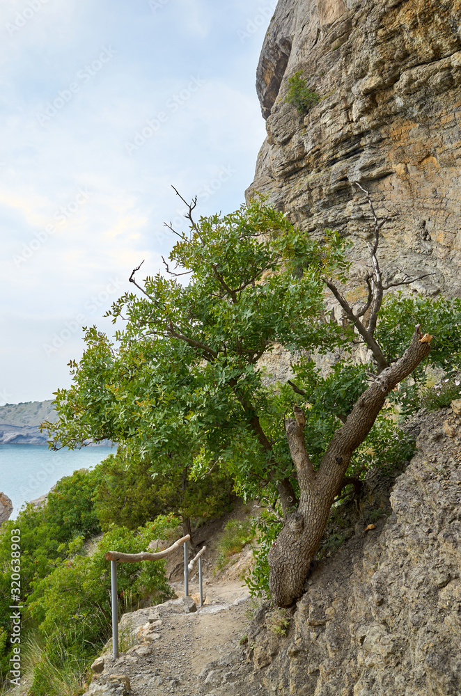 A tourist route along a trail in the mountains of the southern coast of Crimea, a beautiful view of the Black Sea and rocks. Golitsyna trail, Republic of Crimea