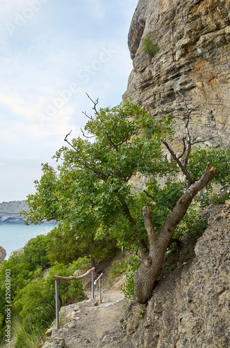 Obraz na płótnie A tourist route along a trail in the mountains of the southern coast of Crimea, a beautiful view of the Black Sea and rocks. Golitsyna trail, Republic of Crimea w salonie