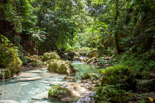 Tagesausflug  Abenteuer Fluss Wanderung unter den Reach Falls in Jamaica Portland