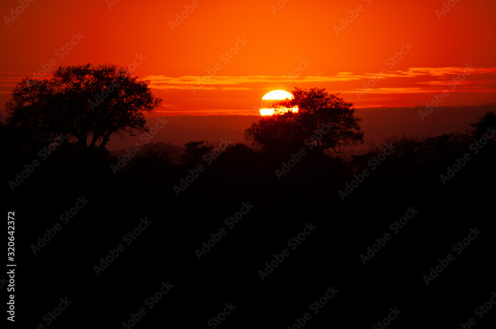 Incredible African Sunset in South Africa Incredible African Sunset in South Africa