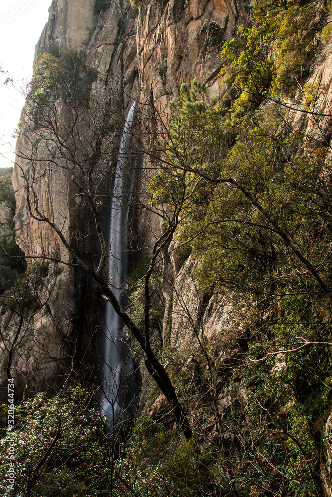 piscia di gallo cascata