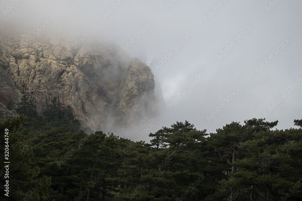 bavella corsica