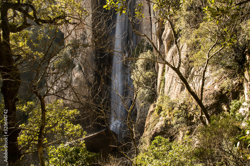 piscia di gallo cascata photo