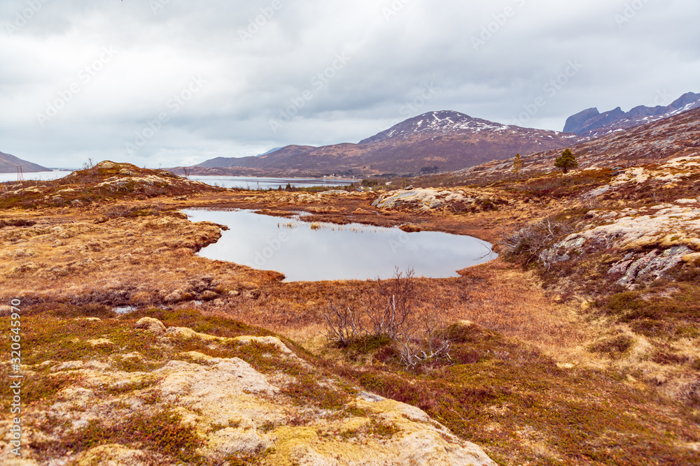 The moor landscape of Senja