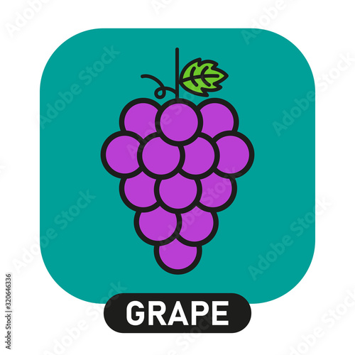Grape icon. Wine concept. Vector illustration.