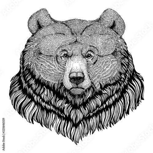 Bear, grizzly. Wild animal for tattoo, nursery poster, children tee, clothing, posters, emblem, badge, logo, patch