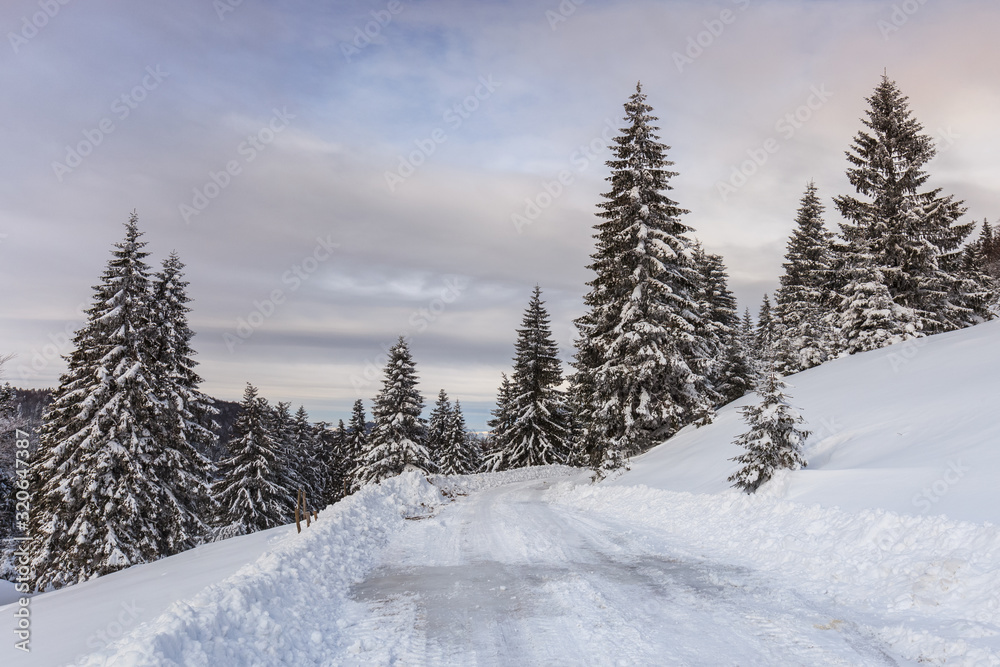 rustic road in winter