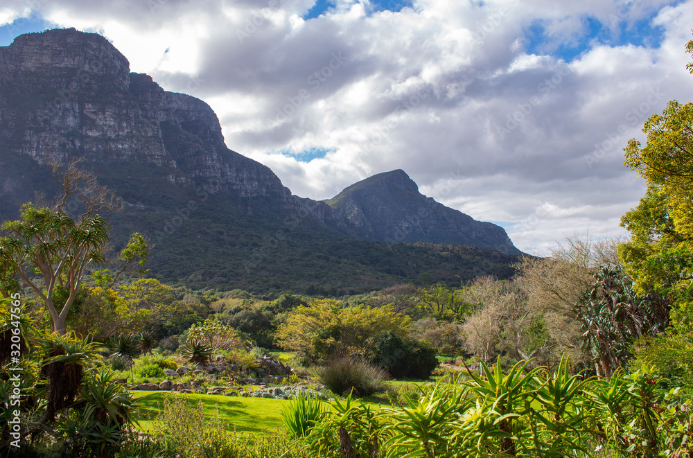 Kirstenbosch Botanical Garden Views in Cape Town South Africa