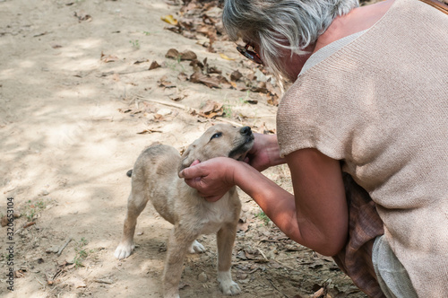 Woman caresses little puppy mongrel stray dog on rural country road