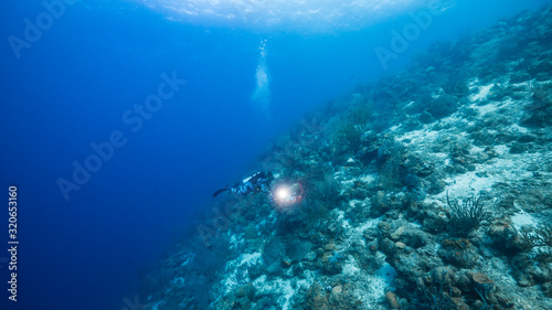 Seascape in turquoise water of coral reef in Caribbean Sea   Curacao with diver  coral and sponge