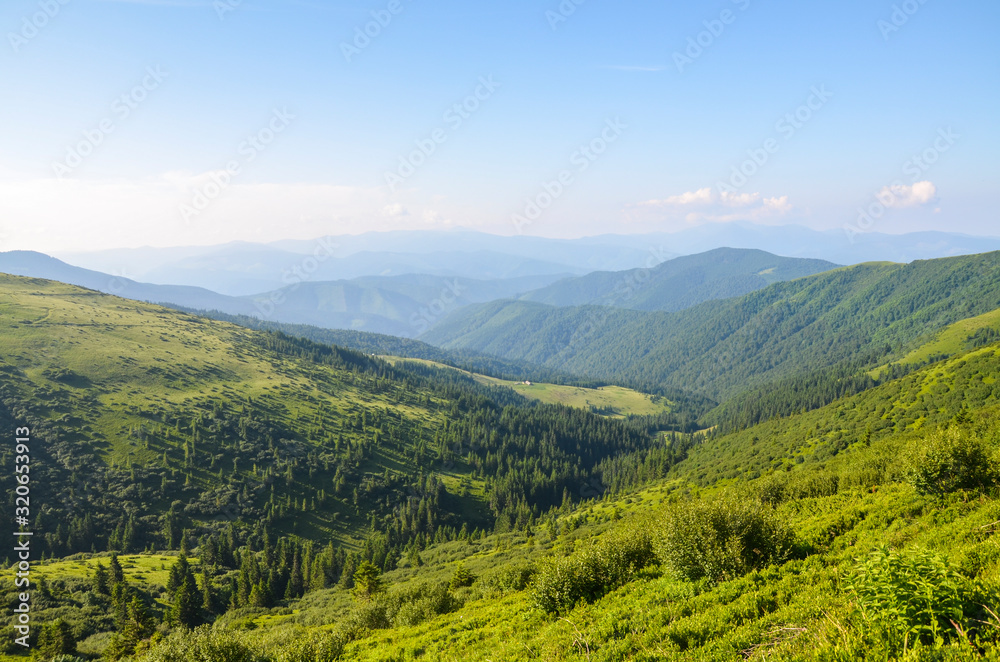 Meadow Sheshul Chornohora ridge Carpathian Mountains. Mountain road to Mount Petros, Ukraine Meadow Sheshul Chornohora ridge Carpathian Mountains. Mountain road to Mount Petros, Ukraine