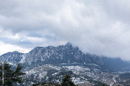 Snowy mountains behind pine trees