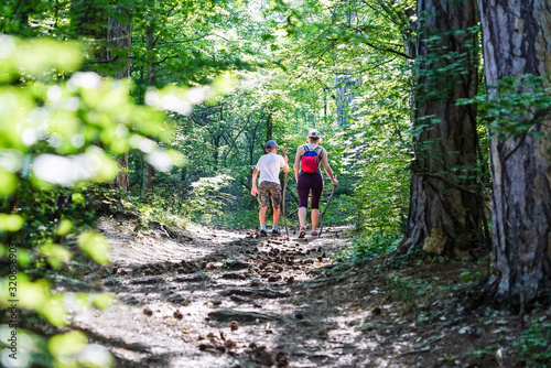 Mother and son go up the path with cones in the pine forest . © amarinchenko106