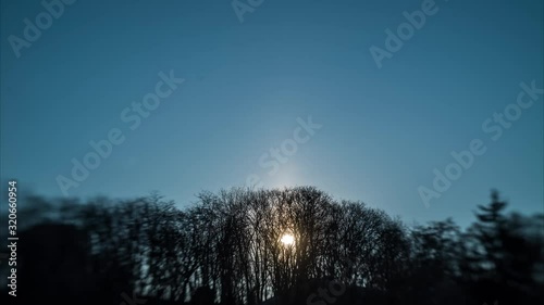 lansbaby dawn over the winter forest