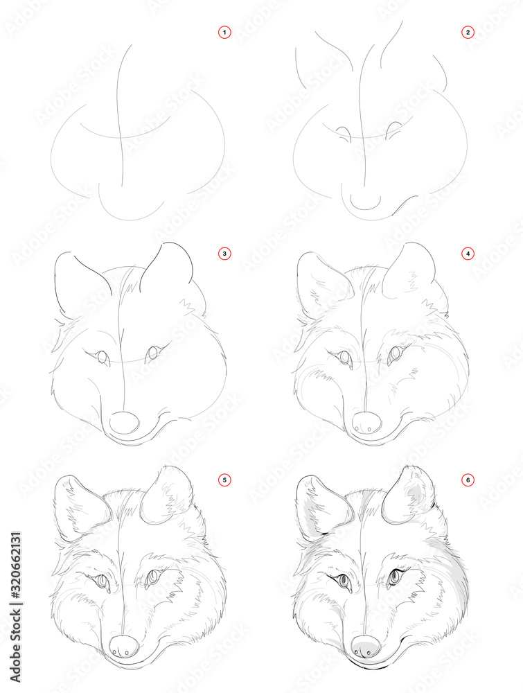Wolf  Drawing Skill
