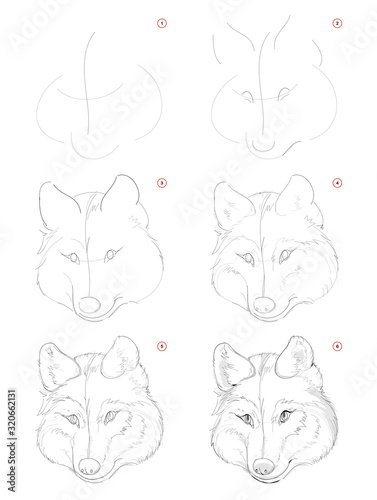 How to draw sketch of imaginary cute wolf head. Creation step by step pencil drawing. Education for artists. Textbook for developing artistic skills. Hand-drawn vector on computer by graphic tablet.