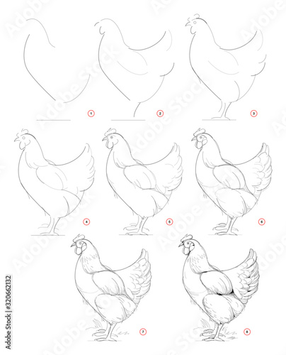 How to draw sketch of imaginary domestic hen. Creation step by step pencil drawing. Education for artists. Textbook for developing artistic skills. Hand-drawn vector on computer by graphic tablet.