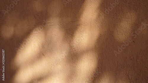 Abstract shadow texture of leaves from early morning sunlight shining on interior orange wall background, 4k video in ProRes. Shadow of leaf on the wall