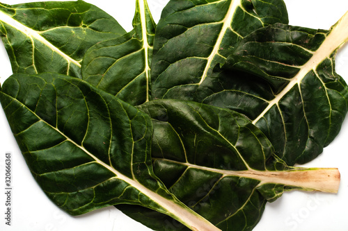 closeup of green chard leaf view from above