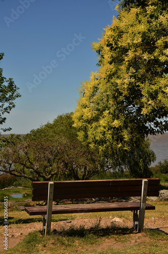 bench in the park of Colonia del Sacramento